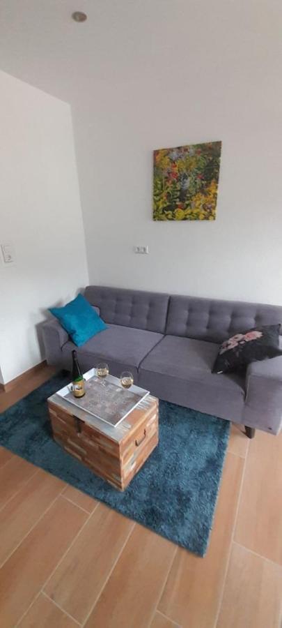 Moselliebe Apartment เซลล์อันแดร์โมเซล ภายนอก รูปภาพ